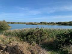 Walland Marsh, on the path inland towards Lydd